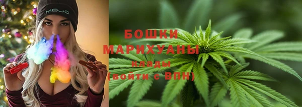 твердый Вяземский