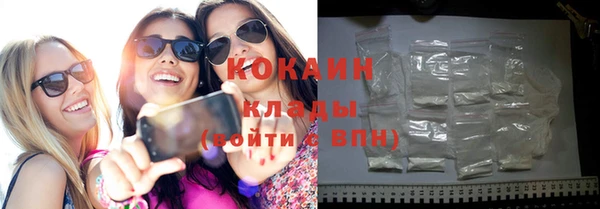 твердый Вяземский
