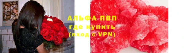 твердый Вяземский