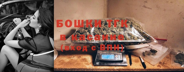 твердый Вяземский