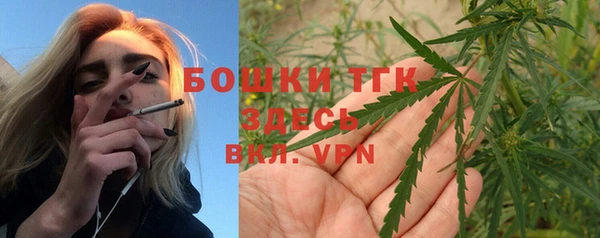твердый Вяземский
